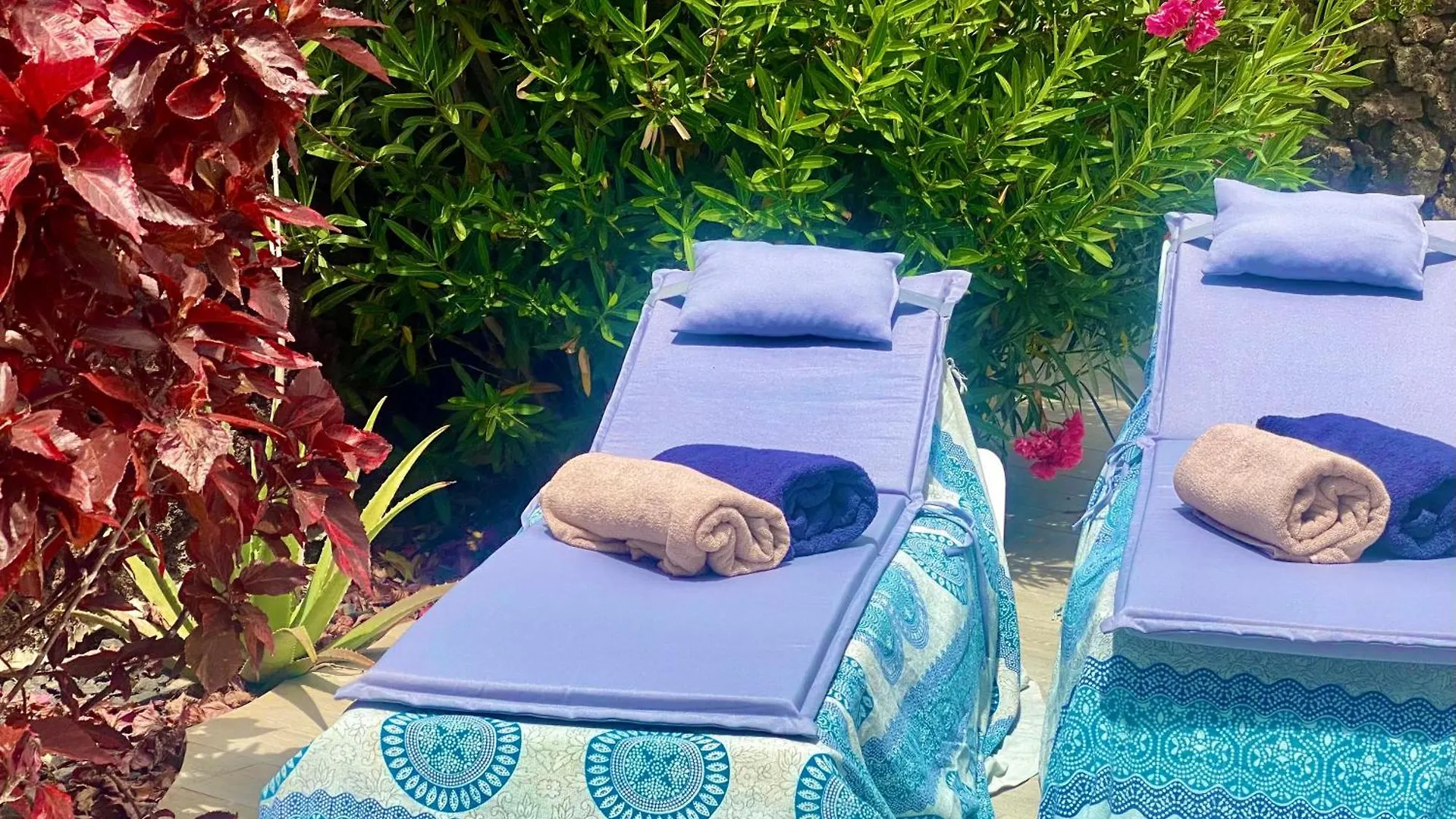 Private Holiday House With Ocean View Garden 7Min To Bahia Beach Costa Adeje Holiday home Costa Adeje (Tenerife)